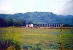 Main Office Building, 1998